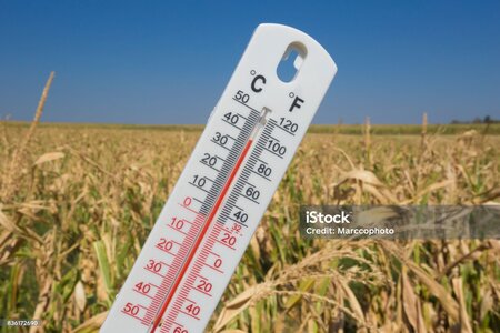 istockphoto-836172690-2048x2048